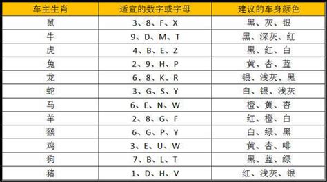 屬兔車牌|屬兔的車牌吉利數字：參考一五六八